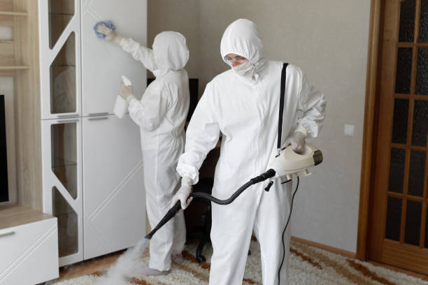 24/7 Emergency Biohazard Cleanup experts in Mount Vernon, TX