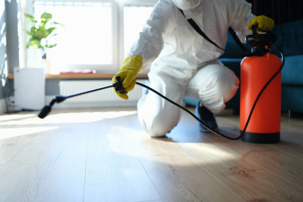 Reliable Biohazard Cleanup contractor in Mount Vernon, TX by Trauma Clean Pros